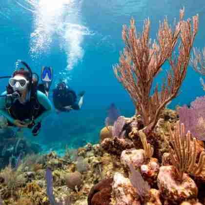 Private und exklusive Segel- und Tauchkreuzfahrt